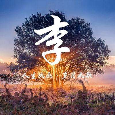 刺影无双手游下载